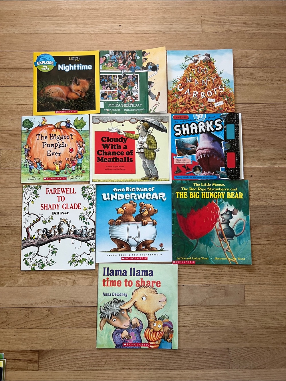 Lot of 10 Paperback Scholastic and more‎ Kids Books